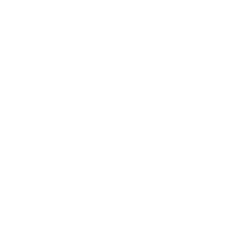 Proton